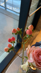 Magnoliopsida