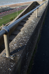 Solenopsora candicans