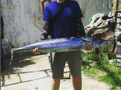 Wahoo