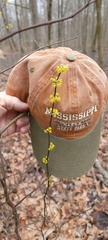 Lindera melissifolia