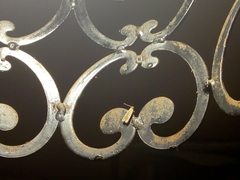 Platyedra subcinerea