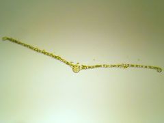 Ptychostomum donianum