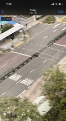 Psittacula alexandri