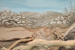 Macrovipera lebetinus schweizeri
