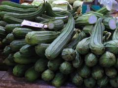 Luffa acutangula