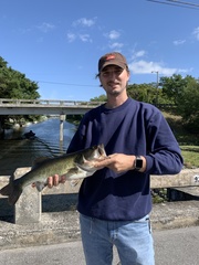 Micropterus floridanus