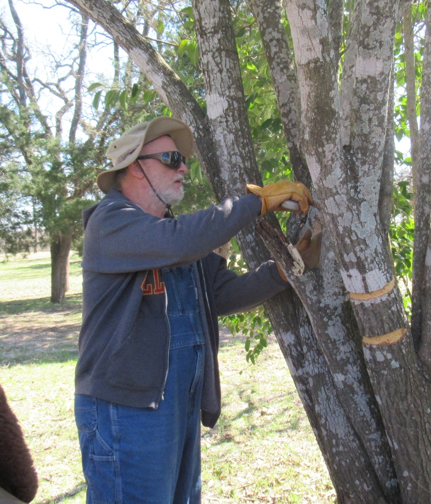 Human from Wilson Ledbetter Park, Cameron, Milam Co, TX, USA on March 12, 2022 at 0226 PM by