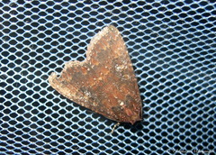 Condica dolorosa