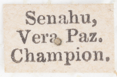 Paracromna rotundior