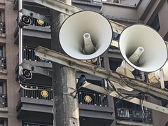 Dicrurus macrocercus