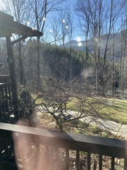 Pipilo erythrophthalmus