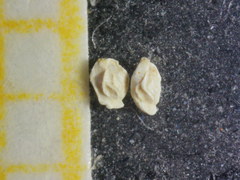 Quinqueloculina bradyana