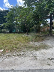 Gallus gallus domesticus