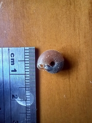 Kandoschloritis pustulosa