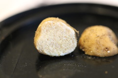 Zelleromyces australiensis