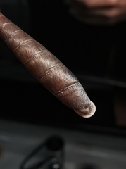 Serriphaedusa poppei