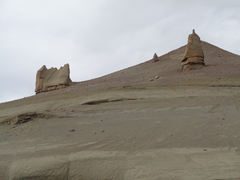 Junellia connatibracteata