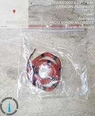 Micrurus dumerilii antioquiensis