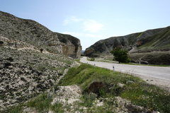 Jurinea ruprechtii