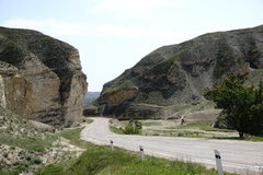 Jurinea ruprechtii