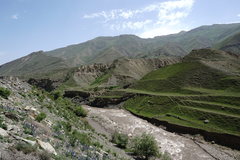 Astragalus galegiformis