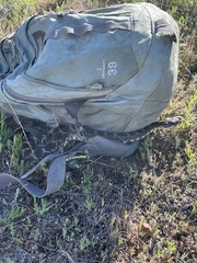 Crotalus oreganus helleri