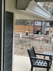 Spinus tristis tristis