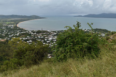 Gmelina philippensis