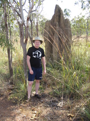 Nasutitermes triodiae