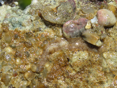 Enchiridium