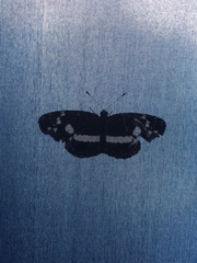 Castilia