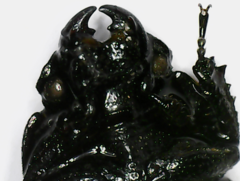 Aegus acuminatus