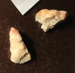 Climacodon dubitativus