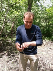 Thamnophis sirtalis semifasciatus