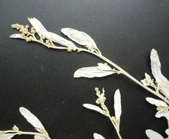Atriplex pedunculata
