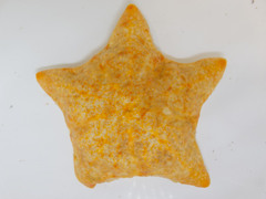 Poraniomorpha hispida