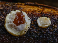 Exidiopsis leucophaea