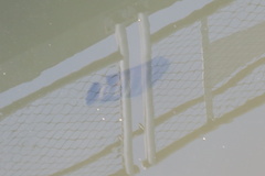 Heterotilapia buettikoferi