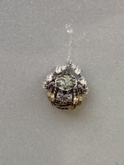 Caerostris sexcuspidata