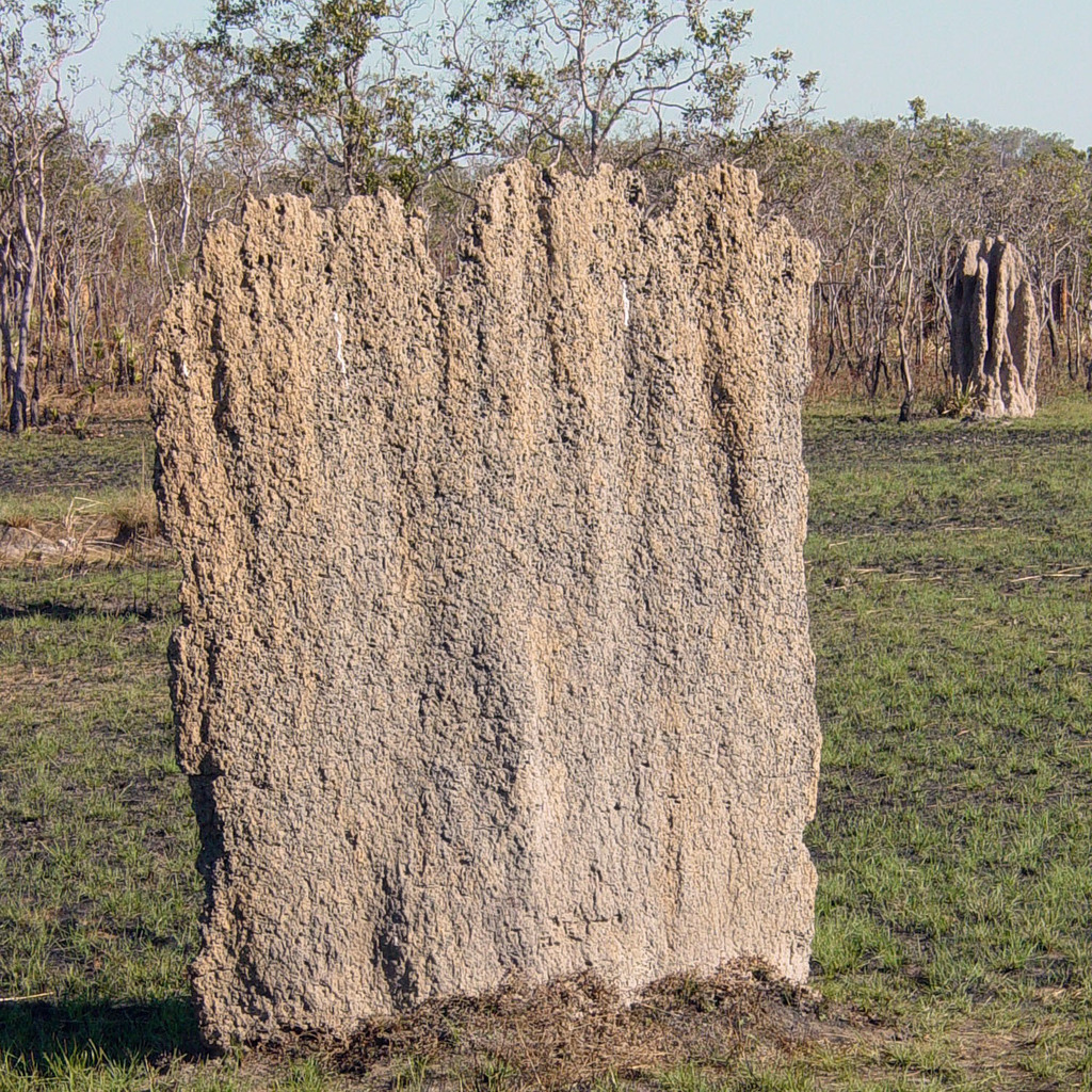 Magnetic Termite