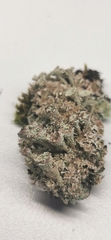 Cladonia