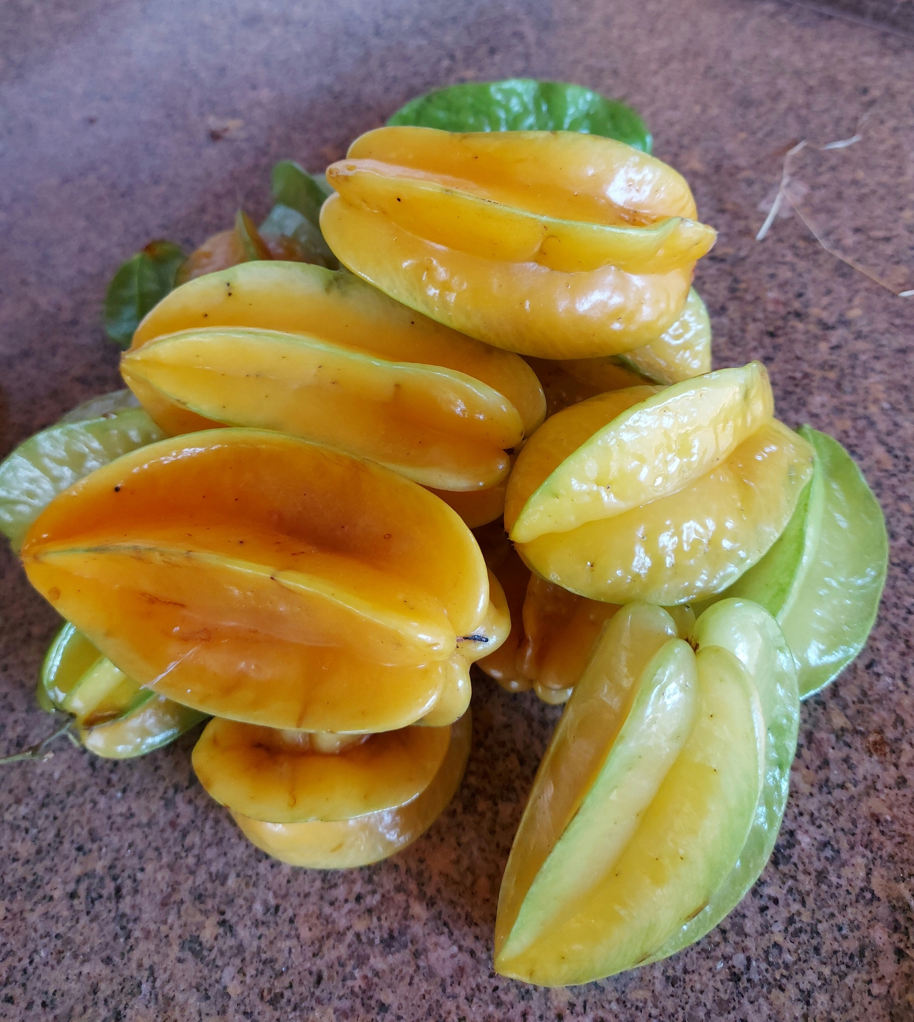 Averrhoa carambola