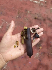 Pseudobombax ellipticum