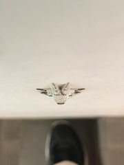 Calliteara horsfieldii