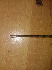 Gynacantha subinterrupta