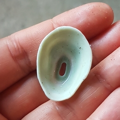 Fissurella virescens