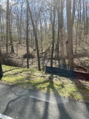 Podophyllum peltatum