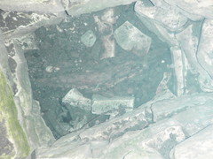 Eurycea chisholmensis