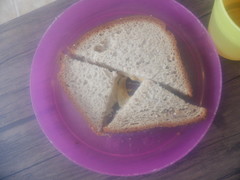 Saccharomyces cerevisiae