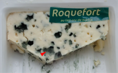 Penicillium roqueforti